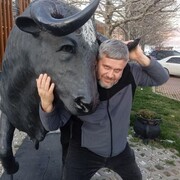 ���������� ���������, ���� ������� MAX, 44 ����, ������������ ��� ������, ����� � ���������, c�������� ���������