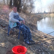  ,   , 41 ,  