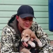 ���������� ��������, ���� ������� �������, 42 ����, ������������ ��� ����� � ���������, c�������� ���������