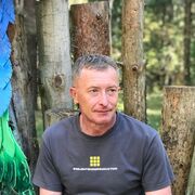  ,   , 55 ,  