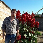 ���������� ���������, ���� ������� �����, 31 ���, ������������ ��� ������, ����� � ���������, c�������� ���������