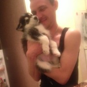 ���������� ����, ���� ������� ����, 44 ����, ������������ ��� ������