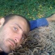 ���������� �����������, ���� ������� ����, 43 ����, ������������ ��� ������, ����� � ���������, c�������� ���������