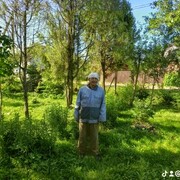 ���������� �����, ���� ������� Armen, 68 ���, ������������ ��� ������, ����� � ���������, c�������� ���������, ���������