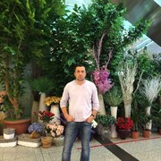  ,   Hushbaht, 38 ,   ,   , c , 