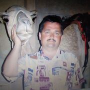 ���������� ������������, ���� ������� ������, 56 ���, ������������ ��� ����� � ���������, c�������� ���������