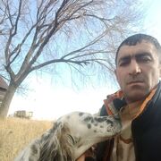  ,   Maqs, 40 ,   ,   