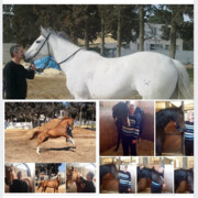 ���������� ����, ���� ������� NATIK, 64 ����, ������������ ��� ������, ����� � ���������, c�������� ���������