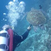 ���������� ������, ���� ������� ���������, 54 ����, ������������ ��� ������, ����� � ���������, c�������� ���������