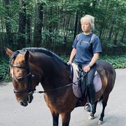 ���������� ������, ���� ������� �����, 31 ���, ������������ 