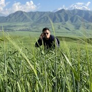 ���������� ������, ���� ������� Das, 31 ���, ������������ ��� ������