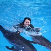 ���������� ������, ���� ������� �����, 32 ����, ������������ ��� ����� � ���������, c�������� ���������