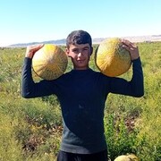  Zabkowice Slaskie,  , 27