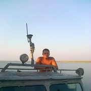 ���������� ������ ���, ���� ������� �������, 37 ���, ������������ ��� ������, ����� � ���������, c�������� ���������