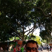  Tirat Karmel,  , 48