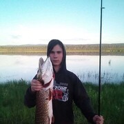 ���������� ������, ������� �������, 37