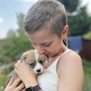 ���������� �������, ���� ������� ����, 39 ���, ������������ ��� ������, ����� � ���������, c�������� ���������, ���������