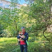  -,   , 51 ,   ,   