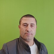 ���������� ������, ���� ������� ������, 43 ����, ������������ ��� ������, ����� � ���������