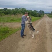 ���������� �����������, ���� ������� ���������, 39 ���, ������������ ��� ������, ����� � ���������, ���������