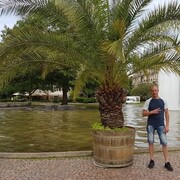 ���������� ������, ���� ������� ������, 40 ���, ������������ ��� ����� � ���������, c�������� ���������