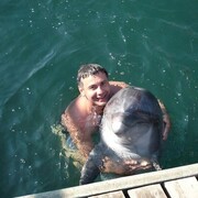 ���������� �����������, ���� ������� ��������, 59 ���, ������������ ��� c�������� ���������