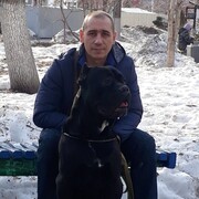  ,   , 51 ,     , c 