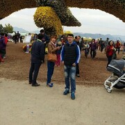 ���������� �������, ���� ������� ULFAT, 40 ���, ������������ ��� ������, ����� � ���������