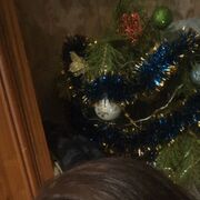 ���������� ����������, ������� ������, 32