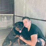 ���������� ��������, ���� ������� ������, 28 ���, ������������ ��� ������, ���������