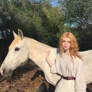 ���������� ������, ���� ������� ������, 22 ����, ������������ ��� ������, ����� � ���������