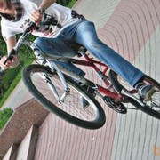 ���������� ����, ���� ������� ���, 35 ���, ������������ ��� ������, ����� � ���������, c�������� ���������