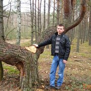  ,   , 35 ,  