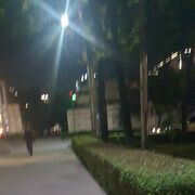  ,   Shazada, 44 ,   ,   