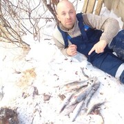 ���������� ��������, ���� ������� �����, 46 ���, ������������ ��� ������