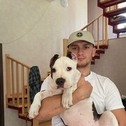 ���������� ������, ���� ������� Amir, 27 ���, ������������ ��� ������, ����� � ���������