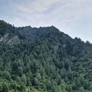 ���������� �����-���������, ���� ������� ����, 51 ���, ������������ ��� ����� � ���������, c�������� ���������, ���������