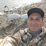  ,   , 44 ,   