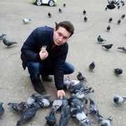 ���������� ������, ���� ������� Sandrik, 36 ���, ������������ ��� ������, ����� � ���������, c�������� ���������