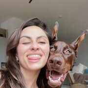 ���������� �����������, ��������