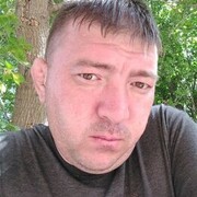  ,   Timur, 38 ,     , c 