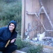 ���������� ��������, ���� ������� Dmitry, 35 ���, ������������ ��� ������, ����� � ���������, c�������� ���������