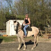 ���������� ����, ���� ������� �������, 34 ����, ������������ ��� ������, ����� � ���������, c�������� ���������, ���������