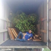  ,   , 37 ,   ,   , c , 