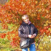 ���������� ��������, ������� ���������, 60