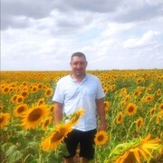  --,   , 44 ,     , c 