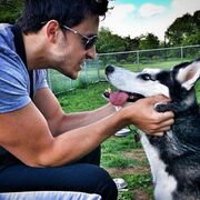 ���������� ������, ���� ������� Sash, 30 ���, ������������ ��� ������, ����� � ���������, c�������� ���������, ���������