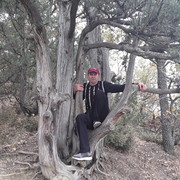  ,   , 55 ,     , c 