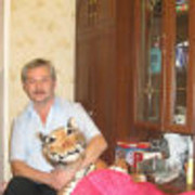  ,   Vova, 65 ,     , c 