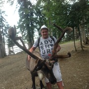 ���������� �����, ���� ������� ������, 43 ����, ������������ ��� ������, ����� � ���������, c�������� ���������